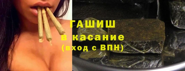 дживик Ельня