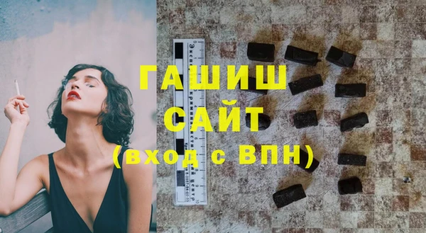 дживик Ельня