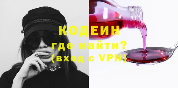 дживик Ельня