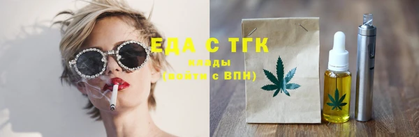 дживик Ельня