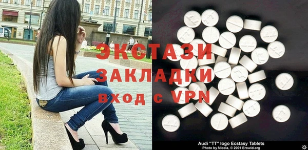 дживик Ельня