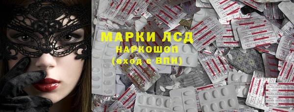 бошки Щёлкино