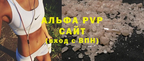 дживик Ельня