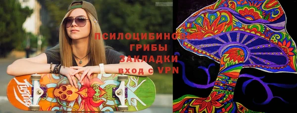 mdpv Елизово