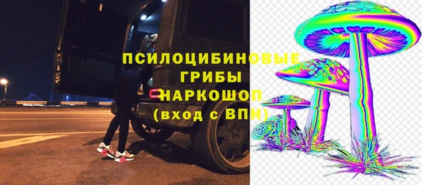 mdpv Елизово