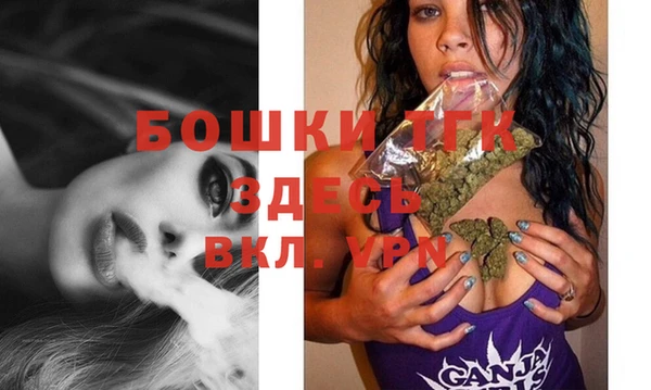 дживик Ельня