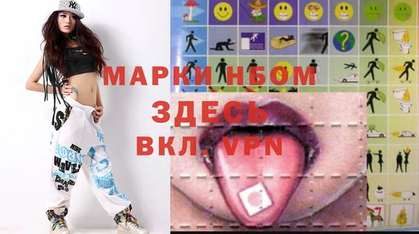 дживик Ельня