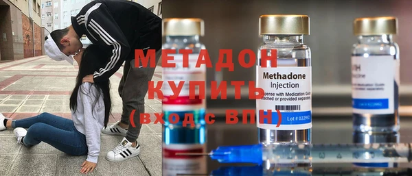 дживик Ельня