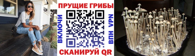 Купить  Первомайск  Галлюциногенные грибы мухоморы 