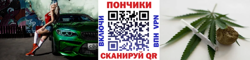 Купить где  Первомайск  Каннабис сатива 